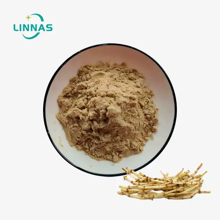 Lalang Grass Rhizome Extract Powder